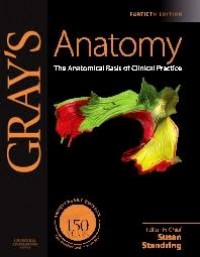 GRAY'S ANATOMY