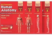 HUMAN ANATOMY